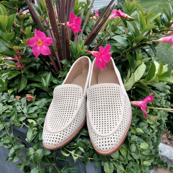 The Flex Shoes - Picture 7 of 8